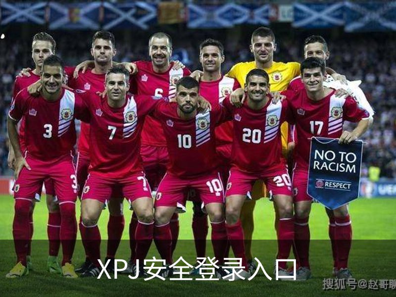 了解XPJ安全登录入口