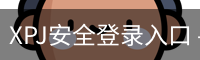 XPJ安全登录入口 - 国际数字娱乐安装教程